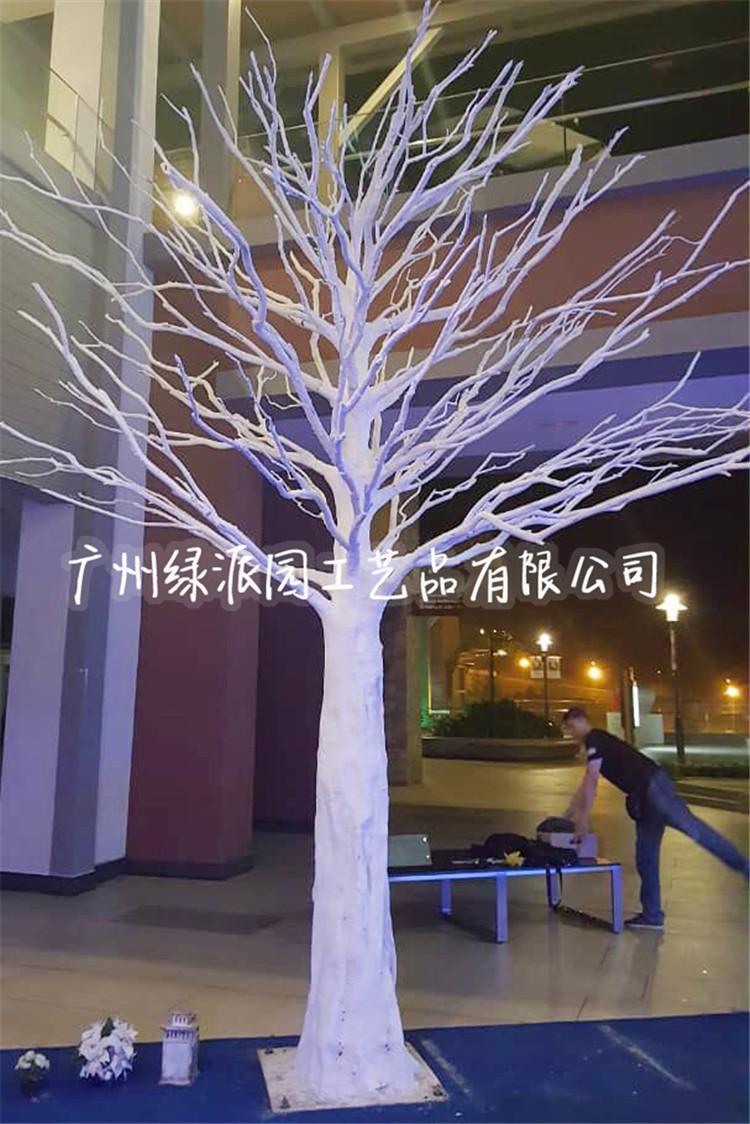 枯树666.jpg