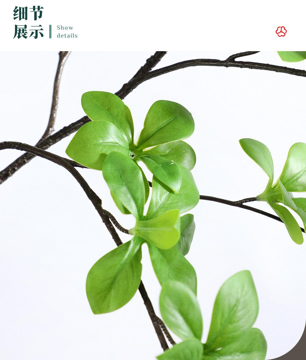 吊钟-6.23_05