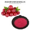 Pó de cranberry, extrato de cranberry, suco de cranberry em pó, secagem por pulverização, pó de cranberry em estoque