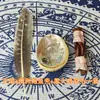 Sálvia Branca da Califórnia Americana Purificação de Espaço Desmagnetização de Cristais Sálvia Branca Madeira Sagrada Peruana Cedro Concha de Abalone