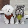Ropa de dos patas para perro mascota Otoño e Invierno Ropa gruesa para mascotas Bichón Teddy 26 Bolsillo de mezclilla Abrigo de algodón de dos patas