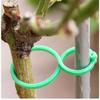 Herramientas de Jardinería de Hebilla Fija para el Hogar Práctico Gancho de Ratán de Plástico Agrupador Hebilla para Tallo de Vid Trepadora Soporte al por Mayor