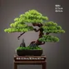 Novo Bonsai Artificial Estilo Chinês Inspirado em Zen Pinheiro Acolhedor e Pinheiro Arhat para Decoração de Escritório, Sala de Estar e Hall de Entrada