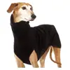 Comercio exterior Europa y Estados Unidos ropa cálida para perros de compañía Amazon costura color sólido ropa para perros primera generación de pelo