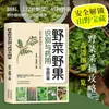 Guía Ilustrada Auténtica Completa para la Identificación de Verduras y Bayas y sus Usos Medicinales: 88 Categorías, 132 Tipos de Verduras, 45 Tipos de Bayas y Plantas Silvestres
