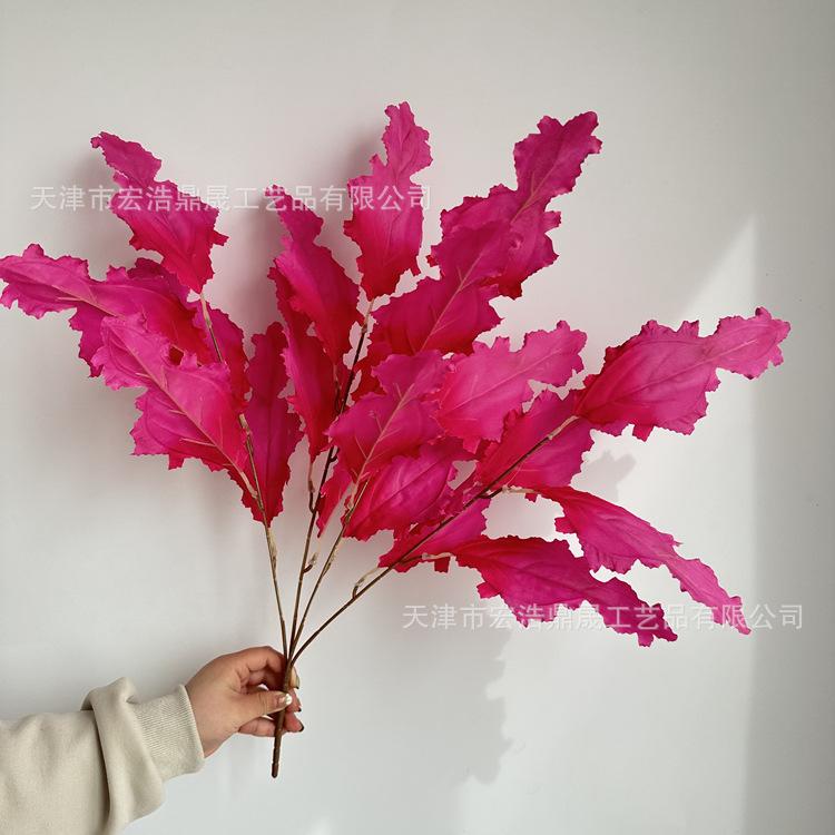 微信图片_2023032416470711_副本