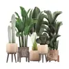 Pegatinas de Pared con Macetas de Plantas Tropicales Verdes Nuevas Transfronterizas para Dormitorio, Sala de Estar, Entrada, Decoración de Embellecimiento de Paredes del Hogar