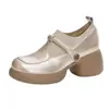 Zapatos Mary Jane populares de estilo francés para mujer, nuevo modelo otoño 2026, tacón grueso, zapatos pequeños de cuero con suela gruesa, zapatos de vestir versátiles para mujer