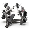 Equipamentos de Academia Comerciais, Treinador de Puxada Inversa em Prancha, Equipamento para Estúdio Unitário, Conjunto de Treinamento de Força Iron Gym, Fabricante