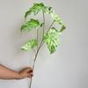5 Folhas de Begônia Folhas de Chuva de Primavera Flores Artificiais de Casamento Fotografia Planta de Casa Decoração Floral Mori Vestido Suave Simulação Plantas Verdes
