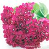 Flor de seda pano de lã grossa fotografia de casamento simulação de folhas de grupo duplo hortênsia de 7 cabeças