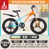 Bicicleta Infantil Phoenix para Niñas de 6-12-15 Años, Adolescentes, Niños Mayores, Bicicleta de Montaña con Cambios para Estudiantes