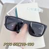 P113 Tendencia de Moda PC Marco Grande Artefacto para Adelgazar la Cara Protección Solar Diaria Pesca Protección UV Gafas de Sol Fabricantes