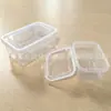 Caja de Almacenamiento Transparente Caja para Conservar Fresco caja de almacenamiento Caja Sellada Grado de Seguridad Caja Portátil para Conservar Fresco con Tapa Caja de Almacenamiento