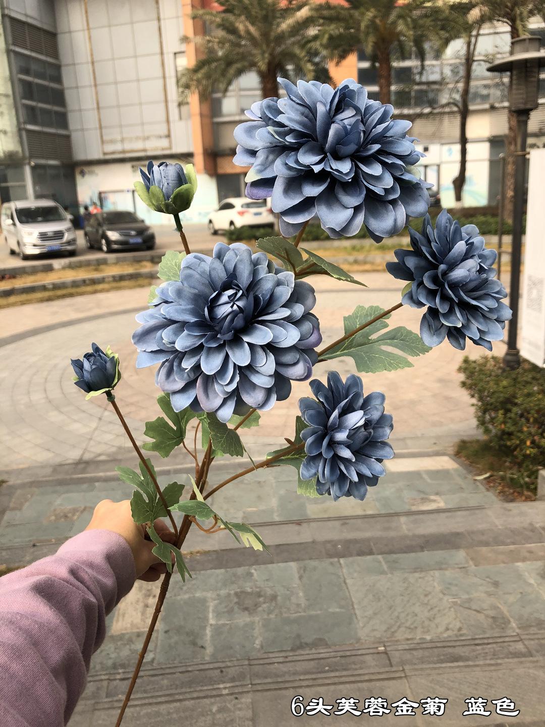 微信图片_20210116110236.jpg