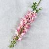 Nuevo Producto Transfronterizo Estudio de Boda Diseño de Boda Flores Artificiales Decoraciones para Sala de Estar Adornos para Fotografía Flores Artificiales Artificiales