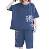 Comércio Exterior Sudeste Asiático Conjunto de Tamanho Grande Verão Novo Camiseta de Manga Curta Feminina Shorts Casuais Soltos Emagrecedores Conjunto de Duas Peças para Mulheres