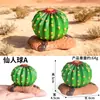 Camello del Desierto Simulado, Cascabel, Zorro Fennec, Lagarto, Cactus, Modelo de Reptil, Juguete de Micro Paisaje