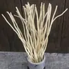 Galhos de Salgueiro para Aromaterapia em Vários Tamanhos, Varetas de Salgueiro Disponíveis para Pedido, Varetas de Incenso de Rattan Naturais Sem Fumaça, Varetas de Rattan para Aromaterapia Outras no Atacado