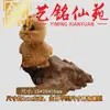 Tallas de madera de ciprés de los doce signos del zodíaco, pequeños accesorios decorativos, tallas de madera Yiming Xianyuan, signos del zodíaco como rata, mono, gallo y toro, piezas decorativas pequeñas, regalos