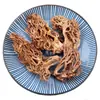 Hongos de Coral Secos Hongos Escoba Hongos Cepillo Hongos Secos Hongos Garra de Dragón Venta al por Mayor Dropshipping