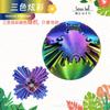 Impresión 3D Transfronterizo Popular Nuevo Engranaje Descompresor para Aliviar la Preocupación Bola Descompresora Juguete Regalo Atracción Fabricante Péndulo de Bola Descompresora