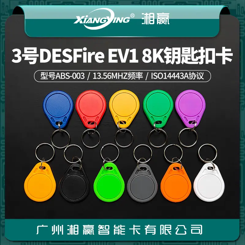 D81 (2).jpg
