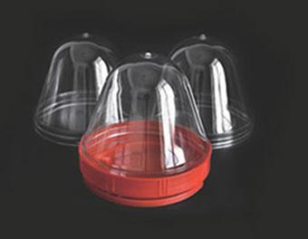 app-ly-11