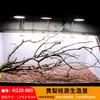 Árbol para paisajismo de acuario sudamericano, ramas secas, ramas de peral amarillo, decoración de sustrato, pecera pequeña, ramas naturales, decoración de paisajismo y paisajismo.
