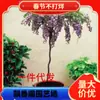 Plantas em vasos no pátio, plantio de trepadeiras na varanda, mudas de glicínias japonesas com várias flores, embalagens bonitas e interessantes, sobrevivem e florescem no mesmo ano