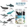 Simulación Animal Marino Modelo Sólido Juguete Ballena Mundo Submarino Moby Dick Cognición Infantil Tiburón Delfín Foca