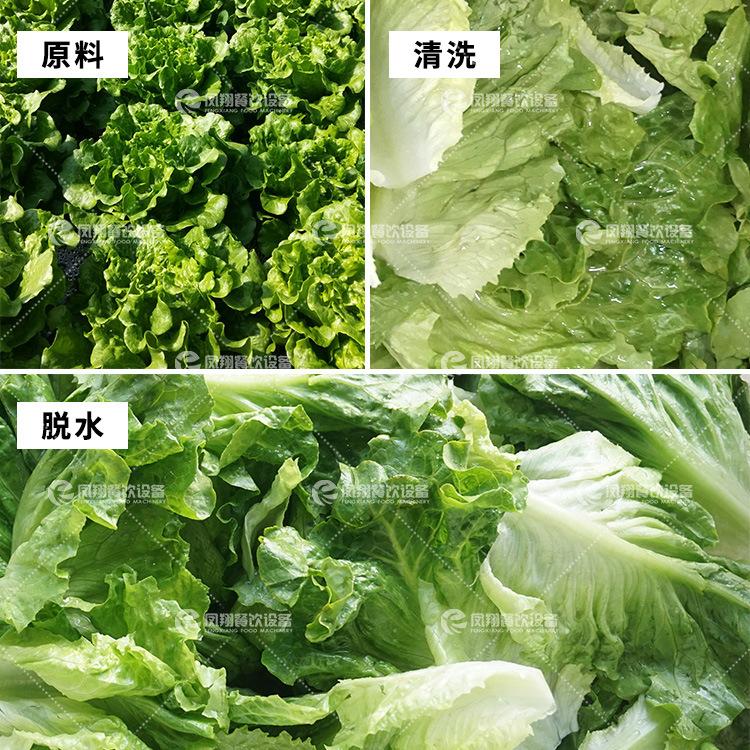 沙拉清洗线5.jpg