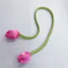 Tulipa