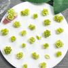 Novas joias de arte para unhas de camélia de cerâmica verde macia misturadas com material de arte para unhas de rosa tie-dye verde joias de flores macias