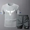 Nuevo Conjunto de Dos Piezas para Hombre, Moderno, Cuello Redondo, Manga Corta, Verano, Casual, Deportivo, Shorts de Fitness, Transpirable, Secado Rápido, Listo para la Venta