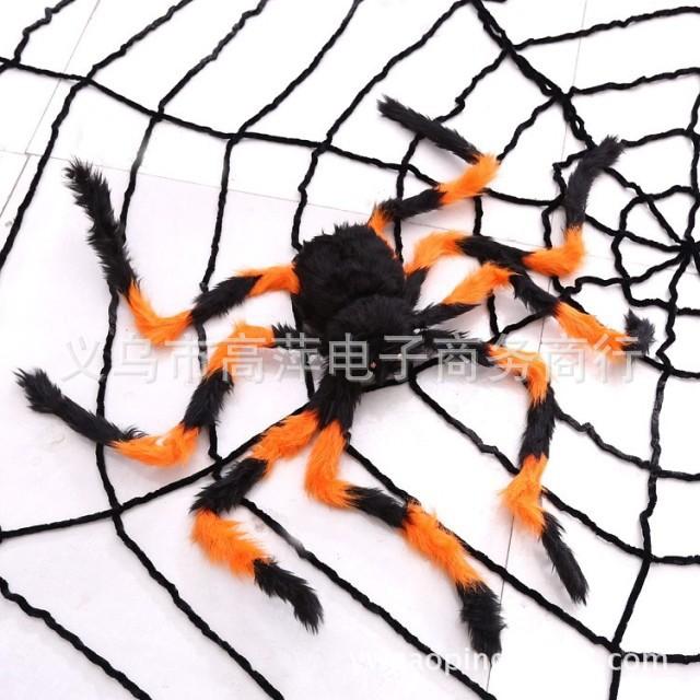 花 蜘  蛛