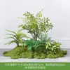 Paisajismo con Flores Artificiales Flor Artificial Planta Verde Decoración Interior Decoración Suave Escaparate Planta de Pasto Caña Floricultura Avanzada