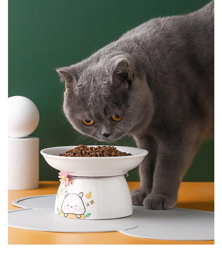 宠物碗_08.jpg