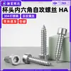Tornillos Autorroscantes de Acero Inoxidable 304 con Cabeza Cilíndrica y Hexágono Interior Tornillos Autorroscantes con Cabeza de Copa y Hexágono Interior M2M2.6M3M5