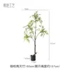 Planta Artificial Fugui Banyan Árvore Falsa Plantio Verde Simulado Nantianthus Tipo Chão Sala de Estar Planta Artificial Phellodendron