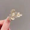 Presilha Média Exquisita com Strass, Presilha de Cabelo Artisticamente Elegante em Forma de Espiga de Trigo e Tubarão, Presilha de Cabelo em Forma de Folha com Olho de Gato, Presilha para Nuca, Presilha Superior