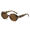 Nuevas Gafas de Sol Ovaladas Retro Europeas y Americanas Transfronterizas para Fotografía Callejera, Protección Solar, Senderismo al Aire Libre y Protección UV