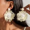 Pendientes de Flor de Tela Estilo Bohemio Transfronterizo Pendientes Tejidos a Mano de Rafia Estilo Festivo