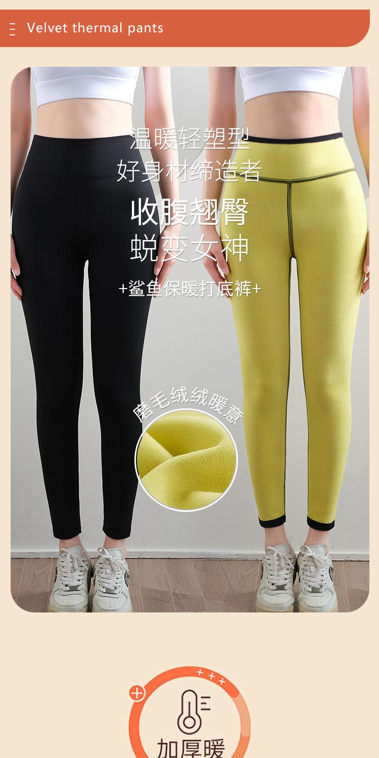 azhang保暖鲨鱼裤_01.jpg