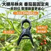 Clip para Tomate Plástico Colgante Plántula al por Mayor Invernadero Agrícola Clip para Atar Rama de Pepino Clip de Fijación de Videra Clip para Plántula Caída de Fruta de Melón Vegetal