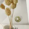 Botão redondo de metal com pentagrama vazado, pérola e diamante, estilo Chanel para casaco, blusa, terno, casaco de tricô, fivela decorativa