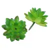 Mini Planta Suculenta Artificial Única Suculenta Falsa Flor Artificial Adorno de Micro Paisaje Oficina Planta Verde Real Artificial Alto