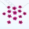 Pequeno Narciso Pequena Flor de Ameixa Flor Seca Em Relevo DIY Gota Cola Material DIY Concha de Celular Manicure Jóias Material Feito à Mão