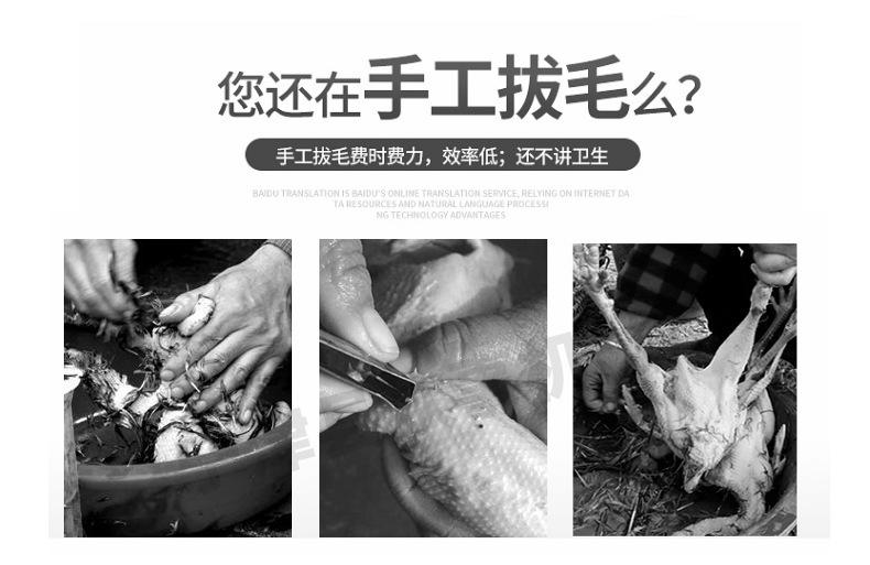 脱毛机详情_02.jpg