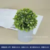 Planta verde de alta simulación flor en maceta cadena de dinero bola de hierba plántula de hierba hierba oficina interior escritorio exhibición planta verde planta pequeña en maceta
